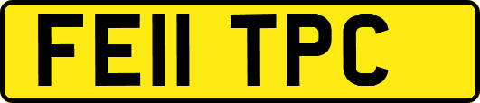 FE11TPC