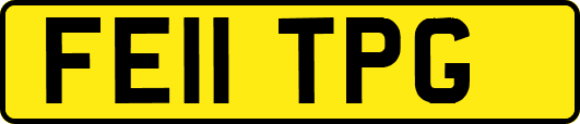 FE11TPG