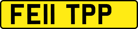 FE11TPP