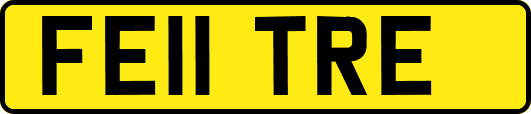 FE11TRE