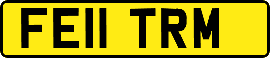FE11TRM