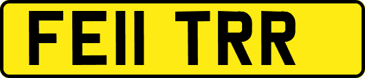 FE11TRR