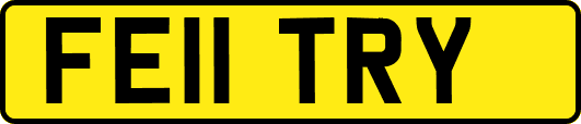 FE11TRY