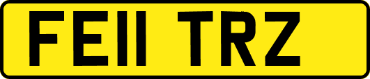 FE11TRZ