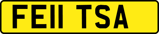 FE11TSA