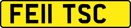 FE11TSC