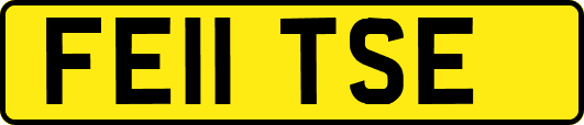 FE11TSE