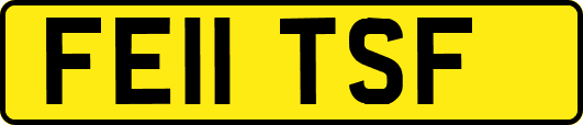 FE11TSF