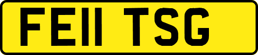 FE11TSG