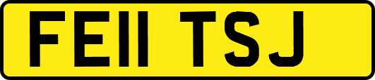 FE11TSJ