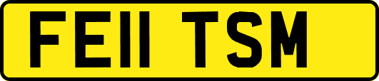 FE11TSM