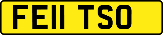 FE11TSO