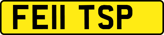 FE11TSP