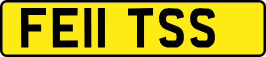FE11TSS
