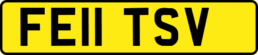 FE11TSV