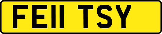 FE11TSY