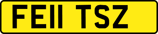 FE11TSZ