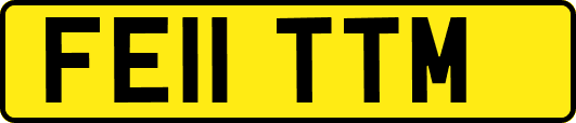 FE11TTM