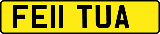 FE11TUA