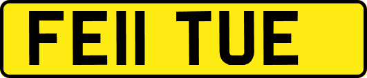 FE11TUE