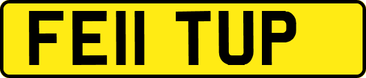 FE11TUP