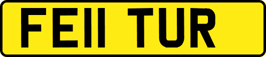 FE11TUR
