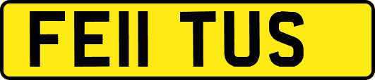 FE11TUS