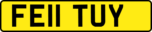 FE11TUY