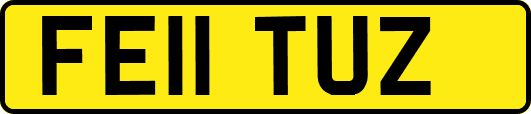 FE11TUZ