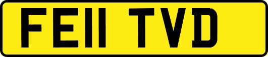 FE11TVD