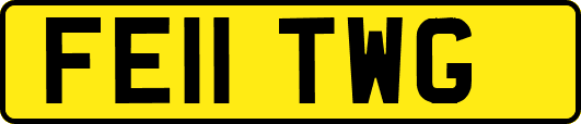 FE11TWG