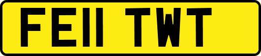 FE11TWT