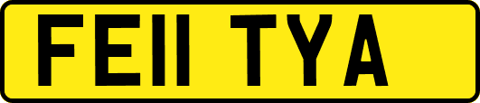 FE11TYA