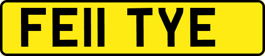 FE11TYE