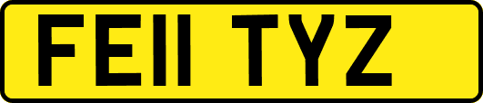 FE11TYZ