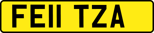 FE11TZA