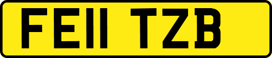 FE11TZB