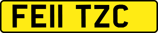 FE11TZC