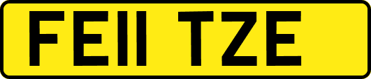 FE11TZE