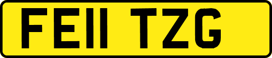 FE11TZG