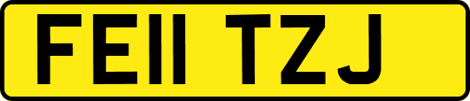 FE11TZJ