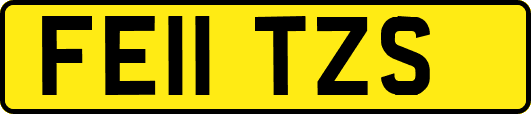 FE11TZS
