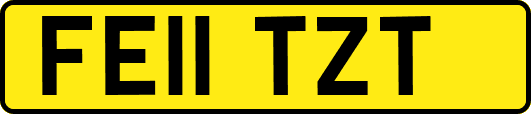 FE11TZT