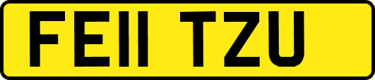 FE11TZU