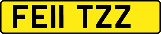 FE11TZZ