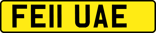 FE11UAE