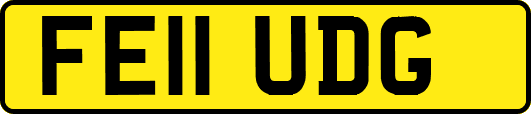 FE11UDG