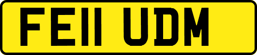 FE11UDM