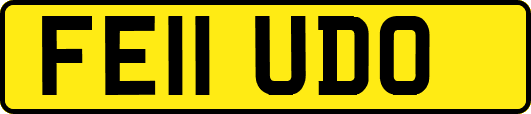 FE11UDO