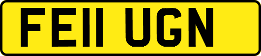 FE11UGN